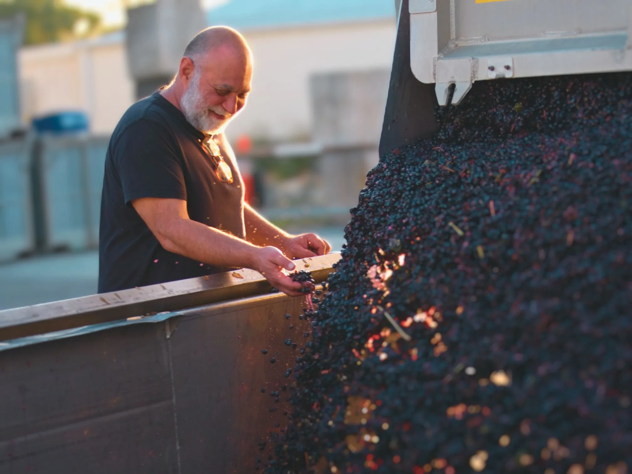 Monteperle wine chief winemaker Tony Carapetis