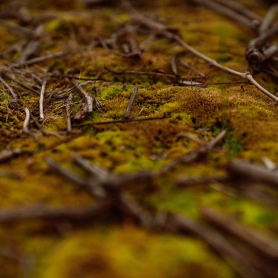 Monteperle vineyard soil