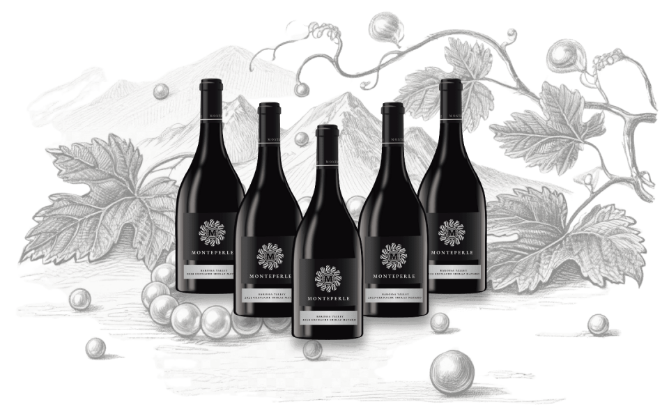 Monteperle house collection wine bottles featuring Monteperle GSM with fine lined hand drawing graphic background showing grape vines mountains and pearls