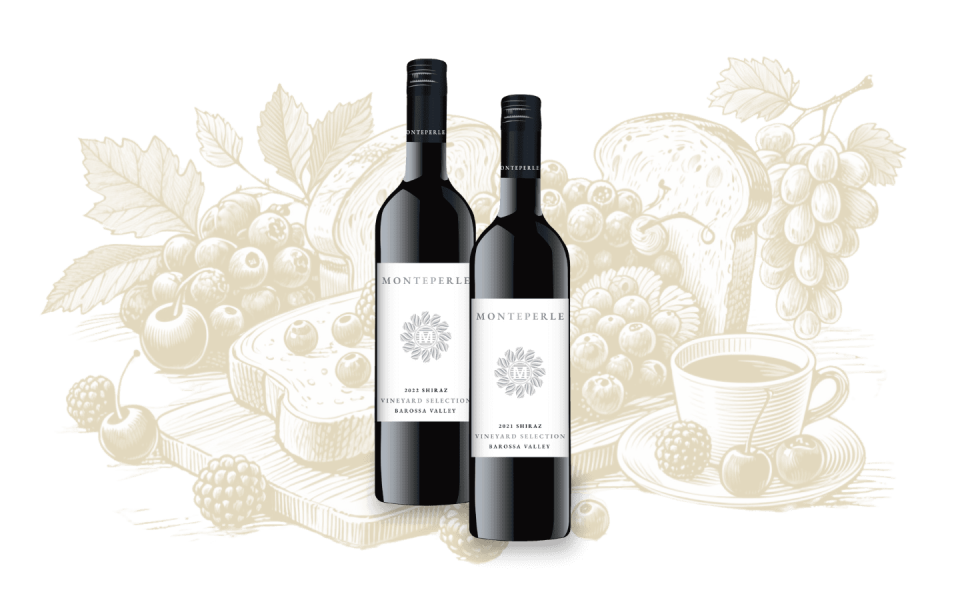Monteperle vineyard selection collection with hand drawing fine lined graphic as background showcasing a chill and laid back vibe